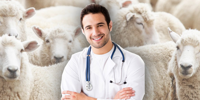 Sarıyer adak kurban